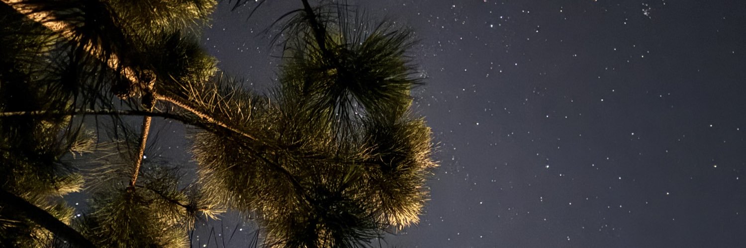 fsuyaj's profile banner image