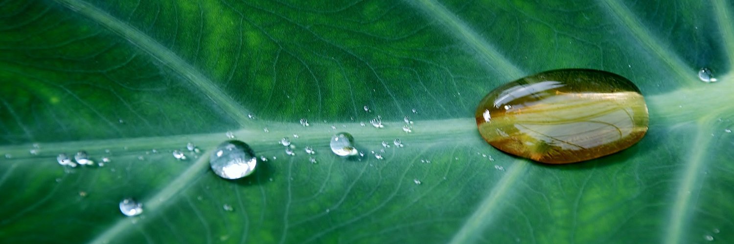YGambetti's profile banner image