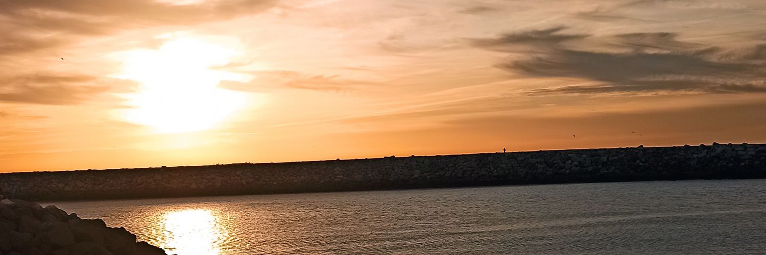 alejandraaamisi's profile banner image