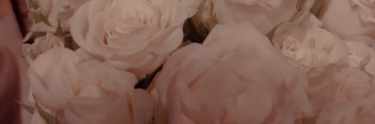 WED banner