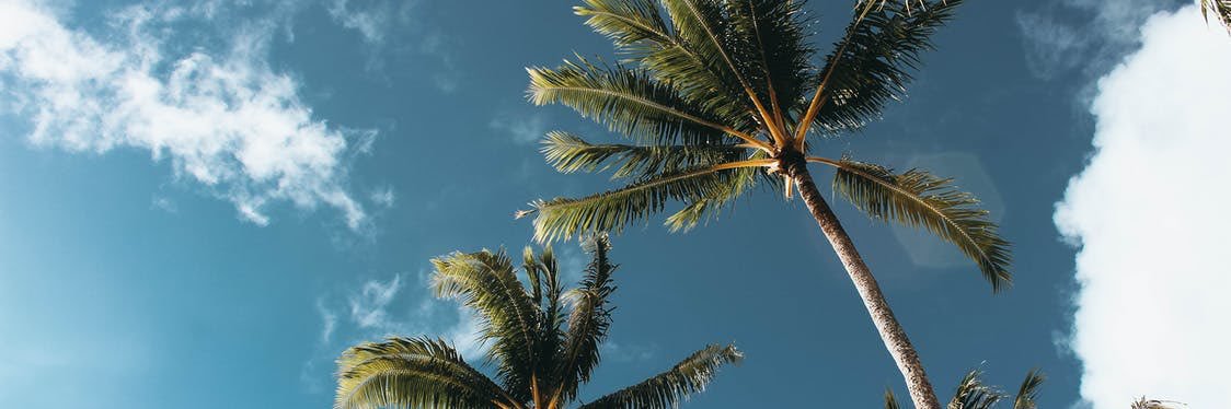 lexi__kay's profile banner image