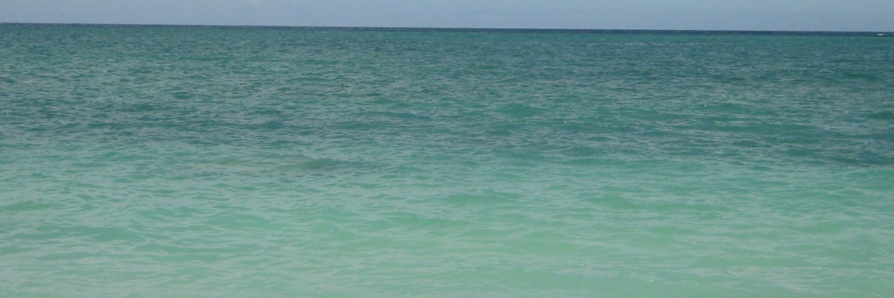 ponta_id's profile banner image