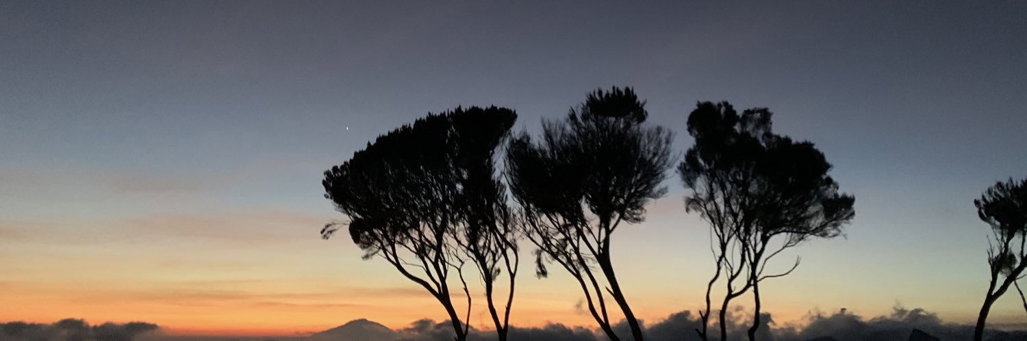 Peter Lüdike banner