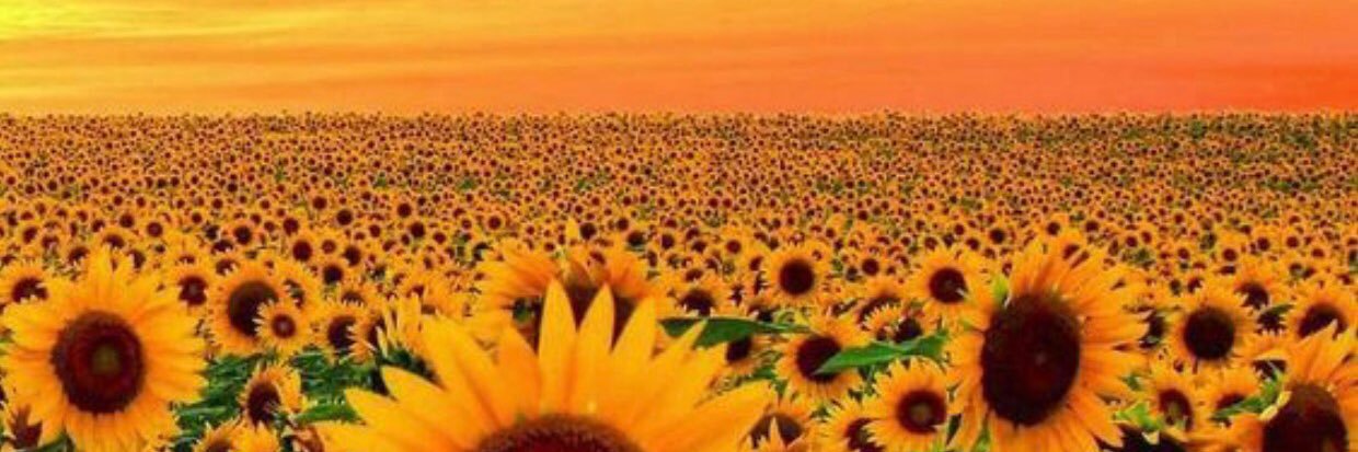 ellyjoclary's profile banner image