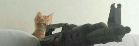 whitediamoddsel's profile banner image