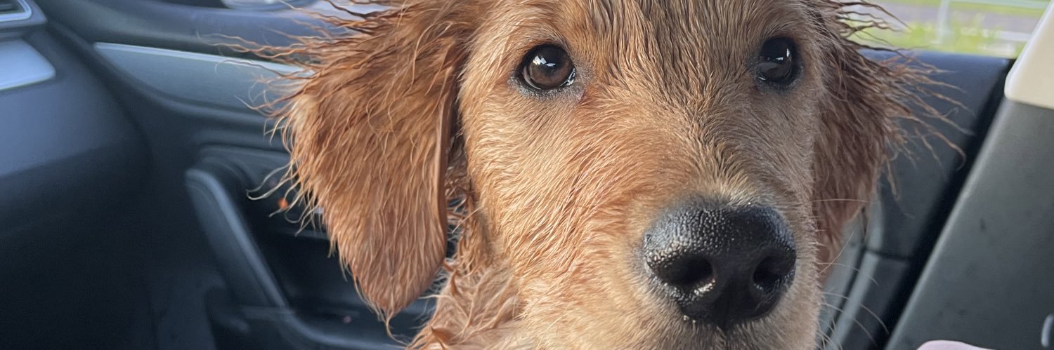 K9CooperCrypto's profile banner image