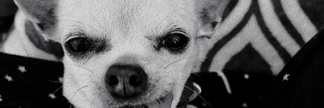 awendolin's profile banner image