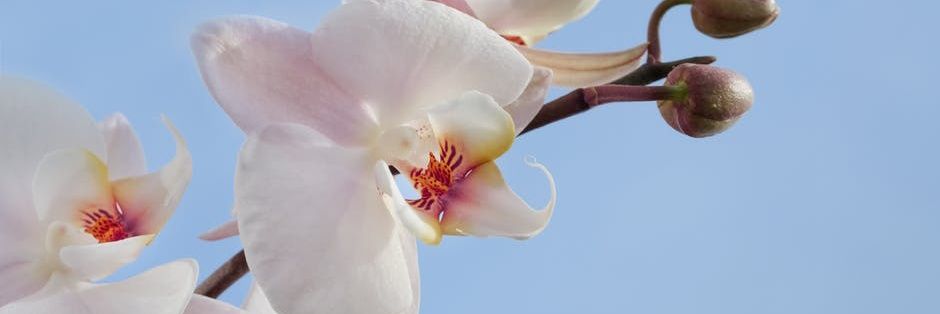 BeFriasM's profile banner image