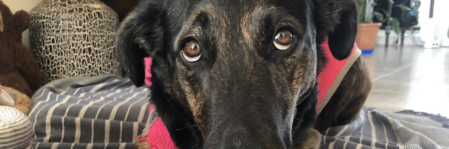 facsaavedra's profile banner image
