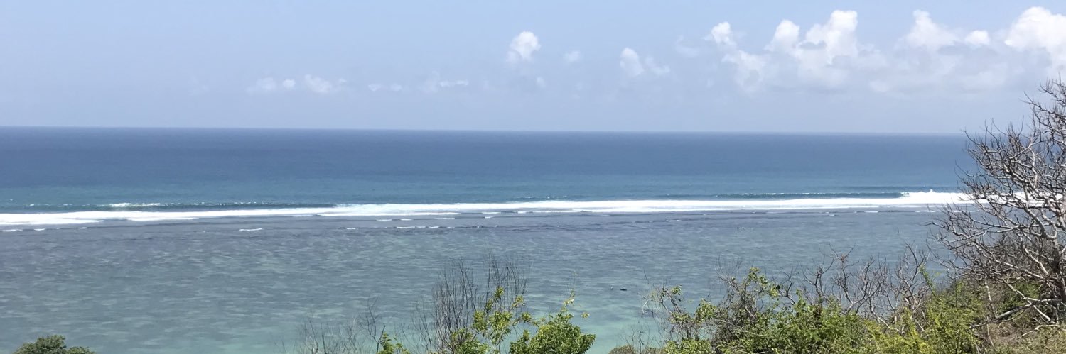 Eisuke Kawamoto 川本栄介@Web3コンサルタント兼トークンエコノミーエバンジェリスト banner