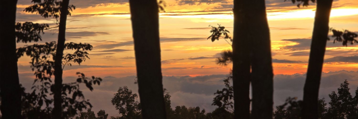 blanco1576's profile banner image