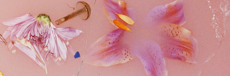 agosnsfw's profile banner image
