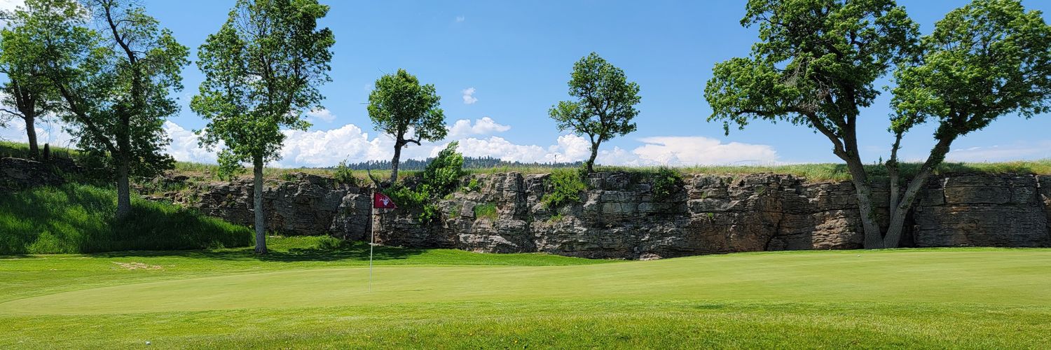 Wile E Coyote banner