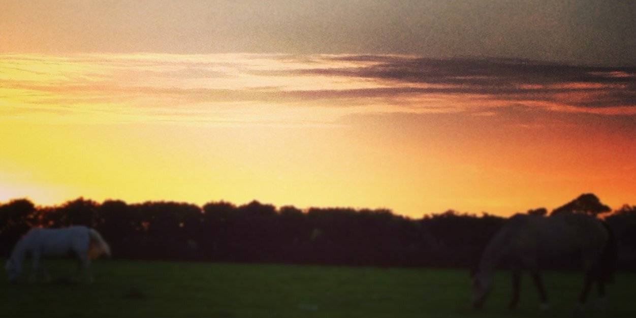 AnnaAston's profile banner image