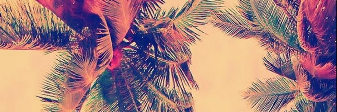 Gercp's profile banner image
