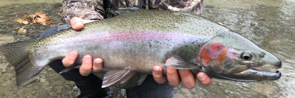 F3Raider Profile Banner