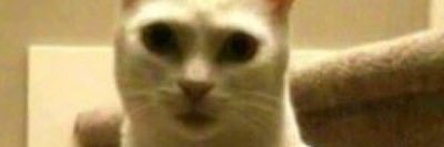 Andreamesa's profile banner image