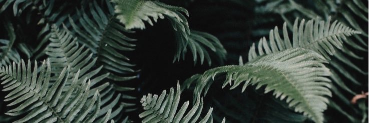 kennedydoyle's profile banner image
