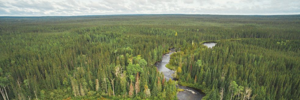 WildernessNorth's profile banner image