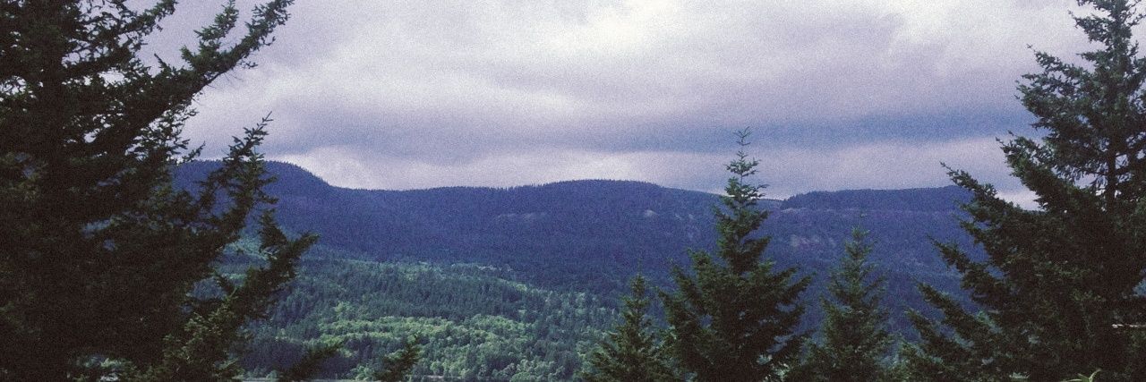 ❃ banner