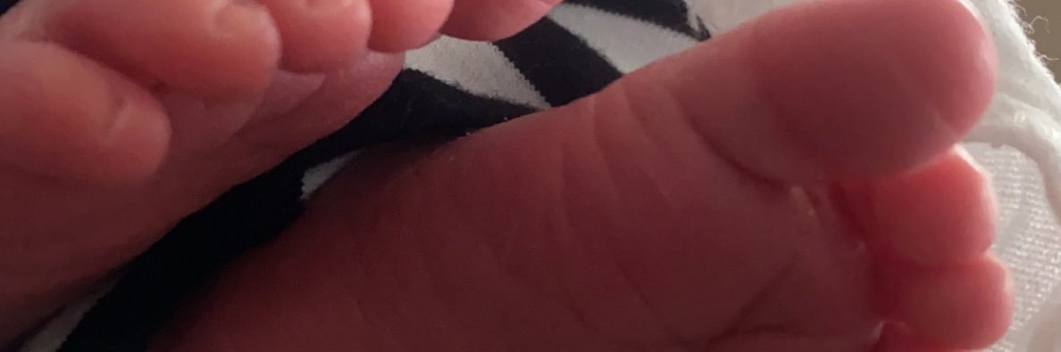 bailey_godlove's profile banner image