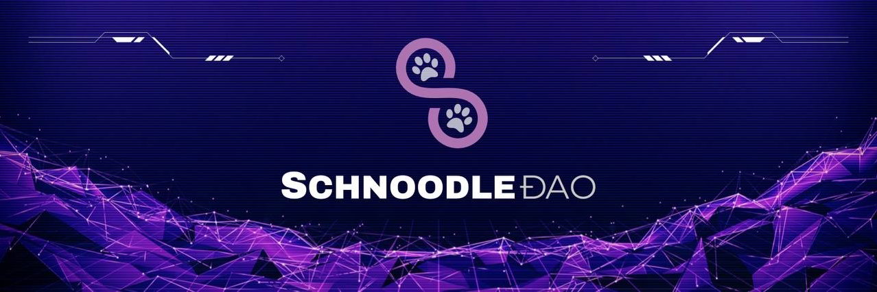 ɴeᴏ (🐇,🐇) banner