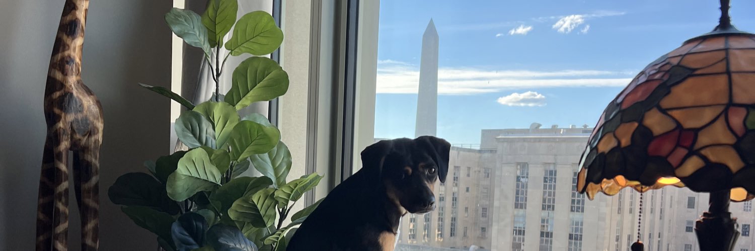 Kaylie Rowland banner