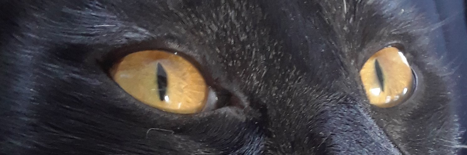 StephBarth1's profile banner image