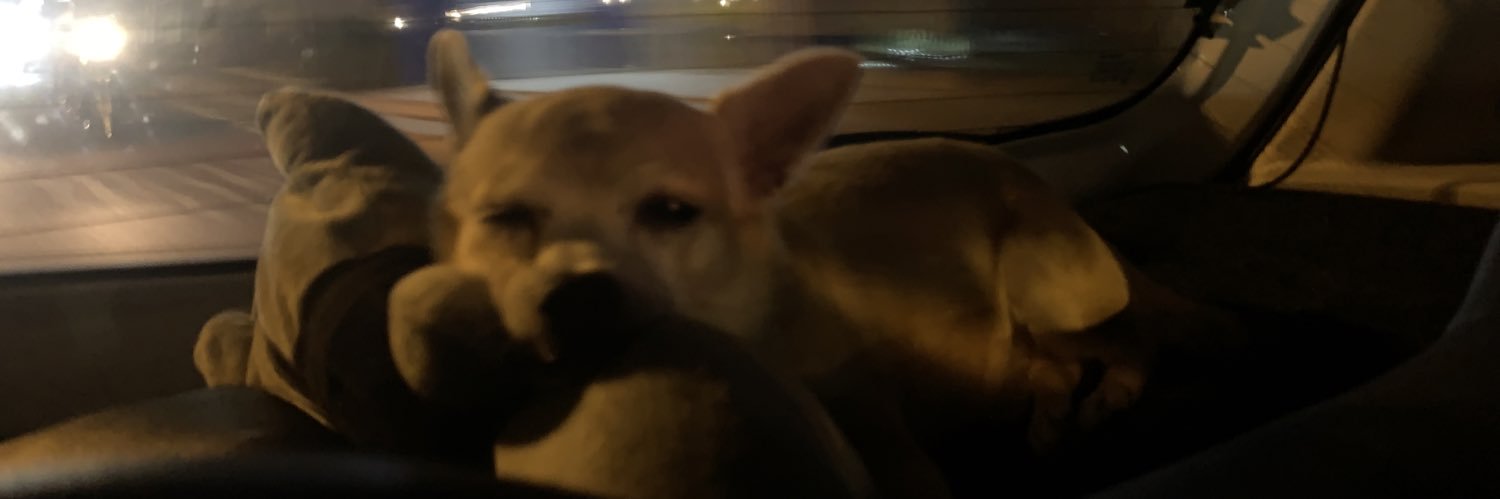 boredom__28's profile banner image
