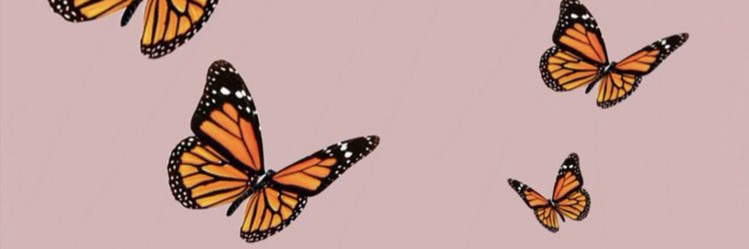 DestineePerry13's profile banner image