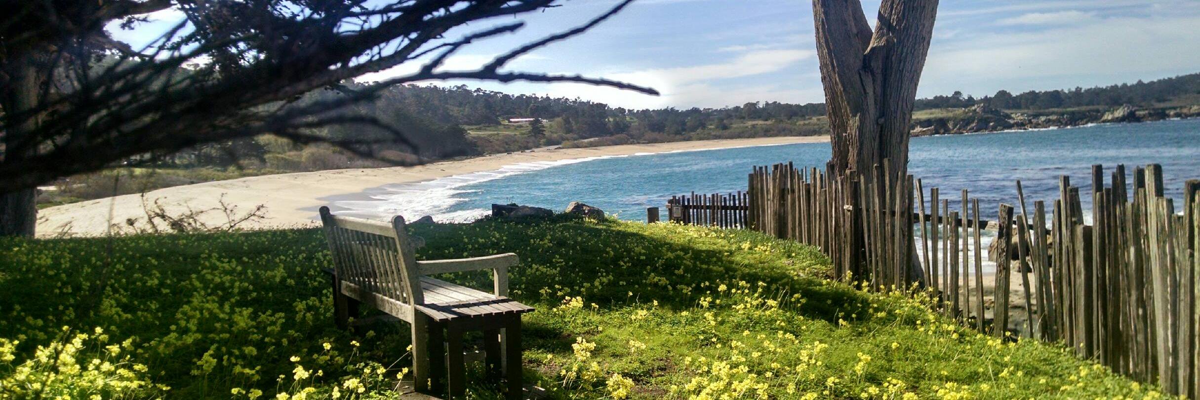 montereyrobin's profile banner image