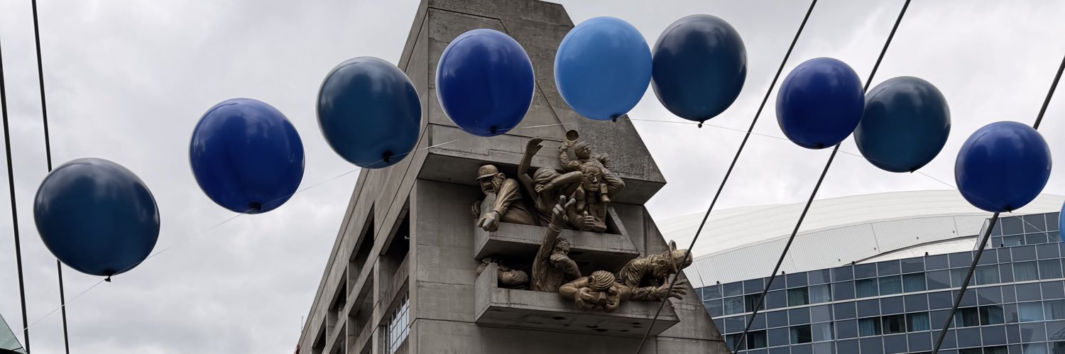 Zonnic the Hedgehog banner