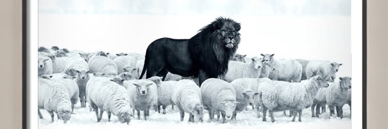 CallHim_A's profile banner image