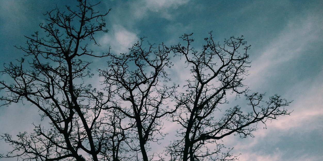 lanse05's profile banner image