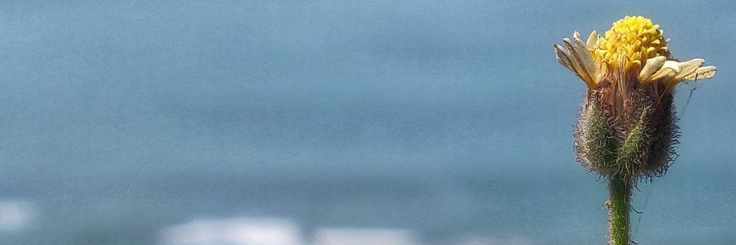 PatilDikshit's profile banner image