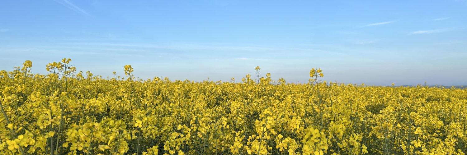 Peter 'Bert' Gibbs banner