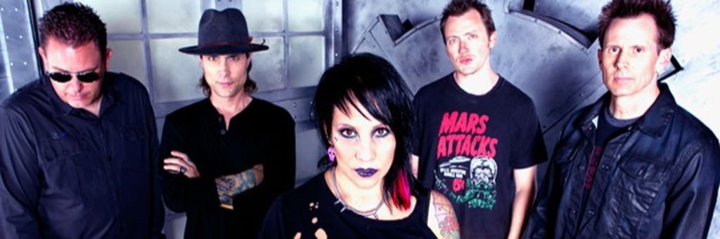 Stephen Kilcullen banner