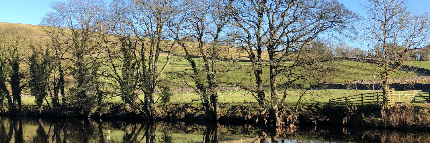 Roger Hellens banner