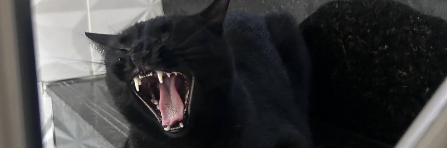 morangacastro's profile banner image