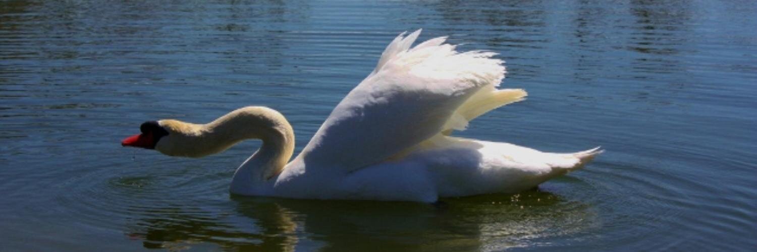 BrozekRobert's profile banner image