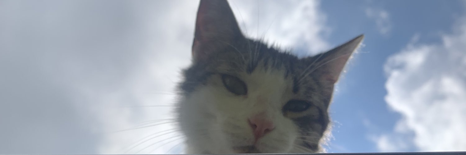 ᴀsʜsʟᴀʏ banner