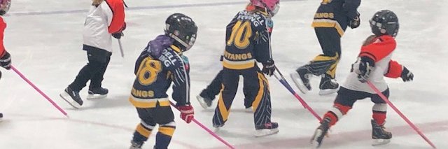 Mississauga Ringette banner
