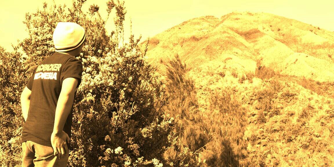 orcha27's profile banner image