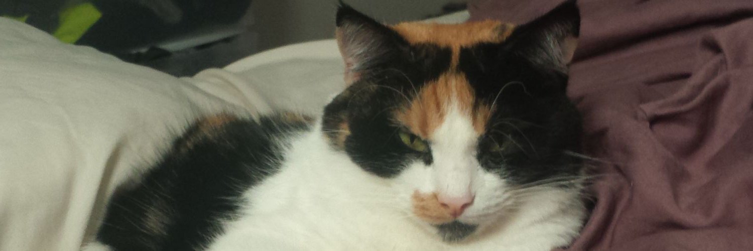 rachzilla1's profile banner image