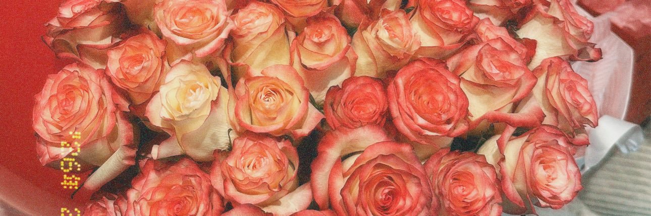__AmyC's profile banner image