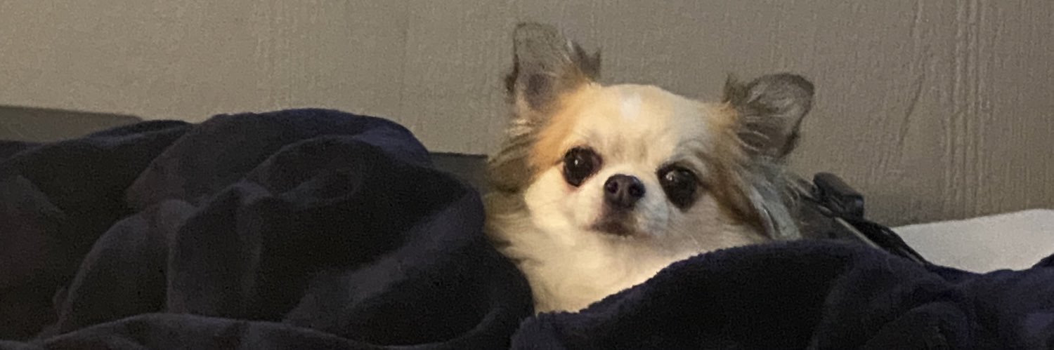 RyderOverNight's profile banner image