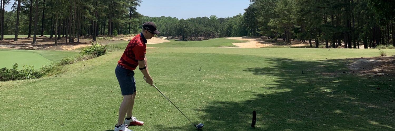 staygolfing's profile banner image
