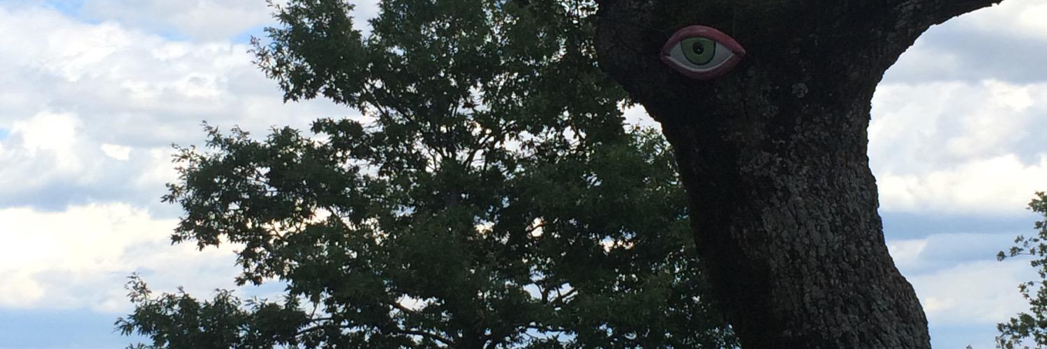 sub_met's profile banner image