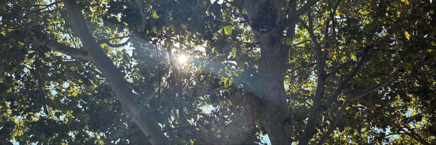 R30jul's profile banner image