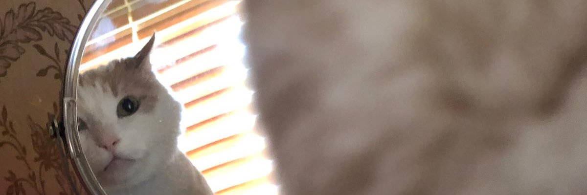 ebrarcakir's profile banner image